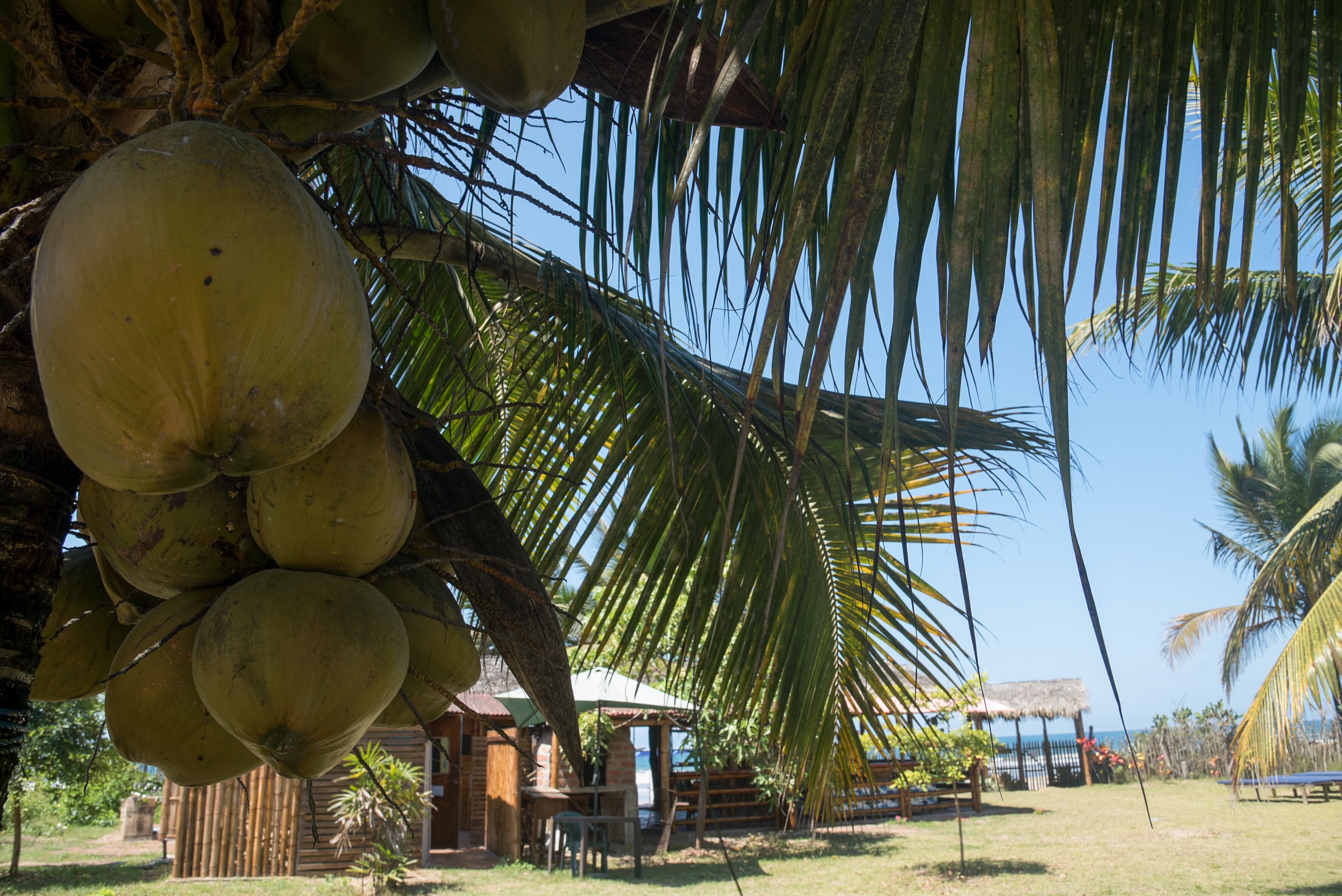 Blick auf den Garten
