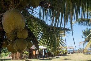 Utsikt mot trÀdgÄrden