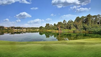 Uitzicht vanuit de kamer
