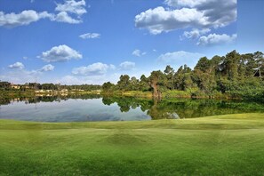 Vista desde la habitación
