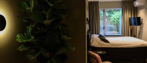 A hotel room with a bed, a chair, a potted plant, a TV, and a window with curtains.