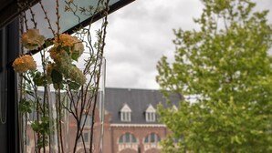A window with a vase of flowers and a view of a building with arched windows and a cyclist on the street.