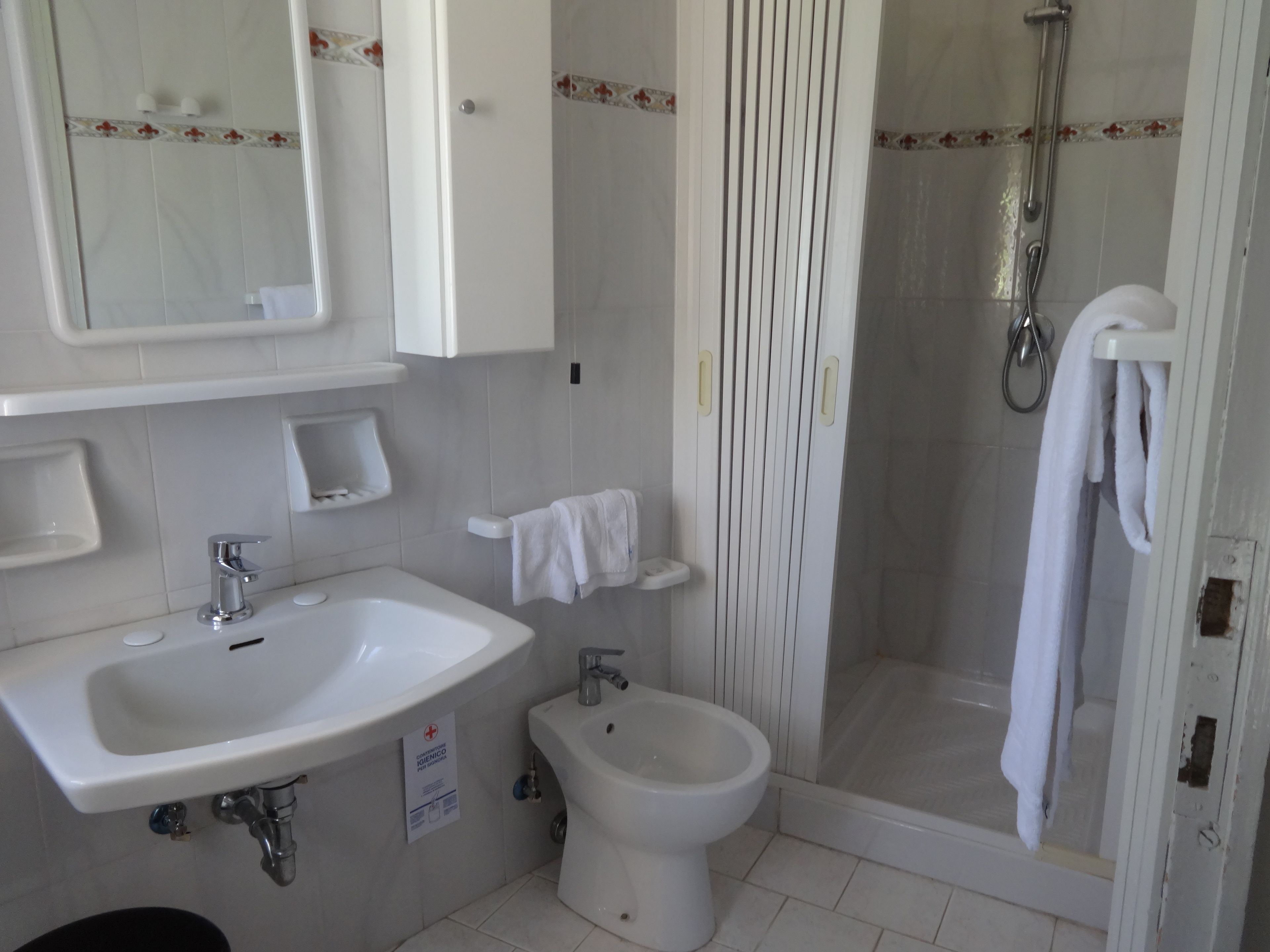 double room single use | bathroom | shower, free toiletries, hair dryer, bidet