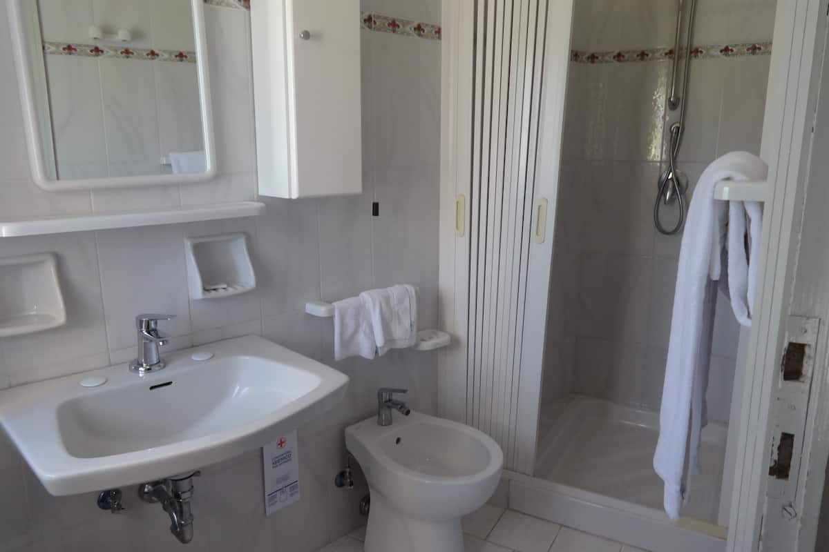 double room single use | bathroom | shower, free toiletries, hair dryer, bidet