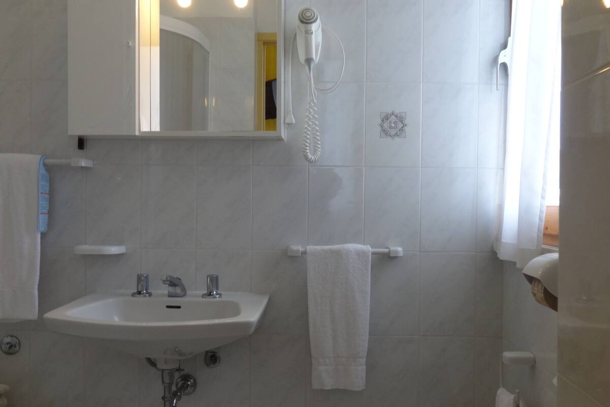 double room single use | bathroom | shower, free toiletries, hair dryer, bidet