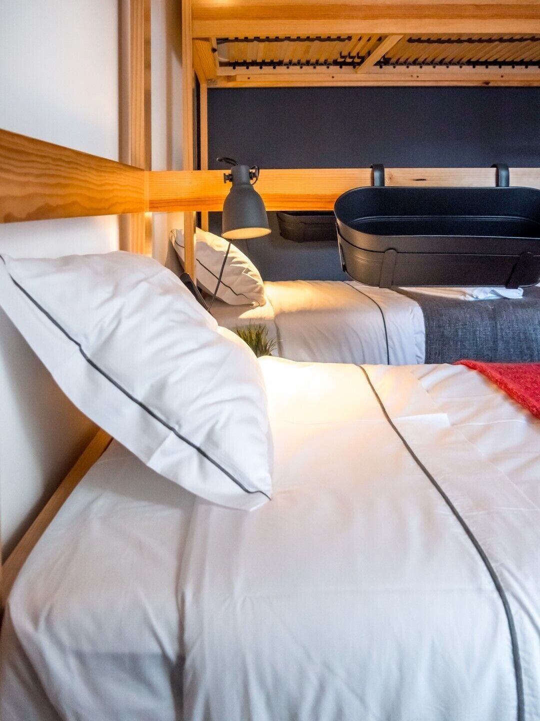 Foto - Procyon Boutique & Suites