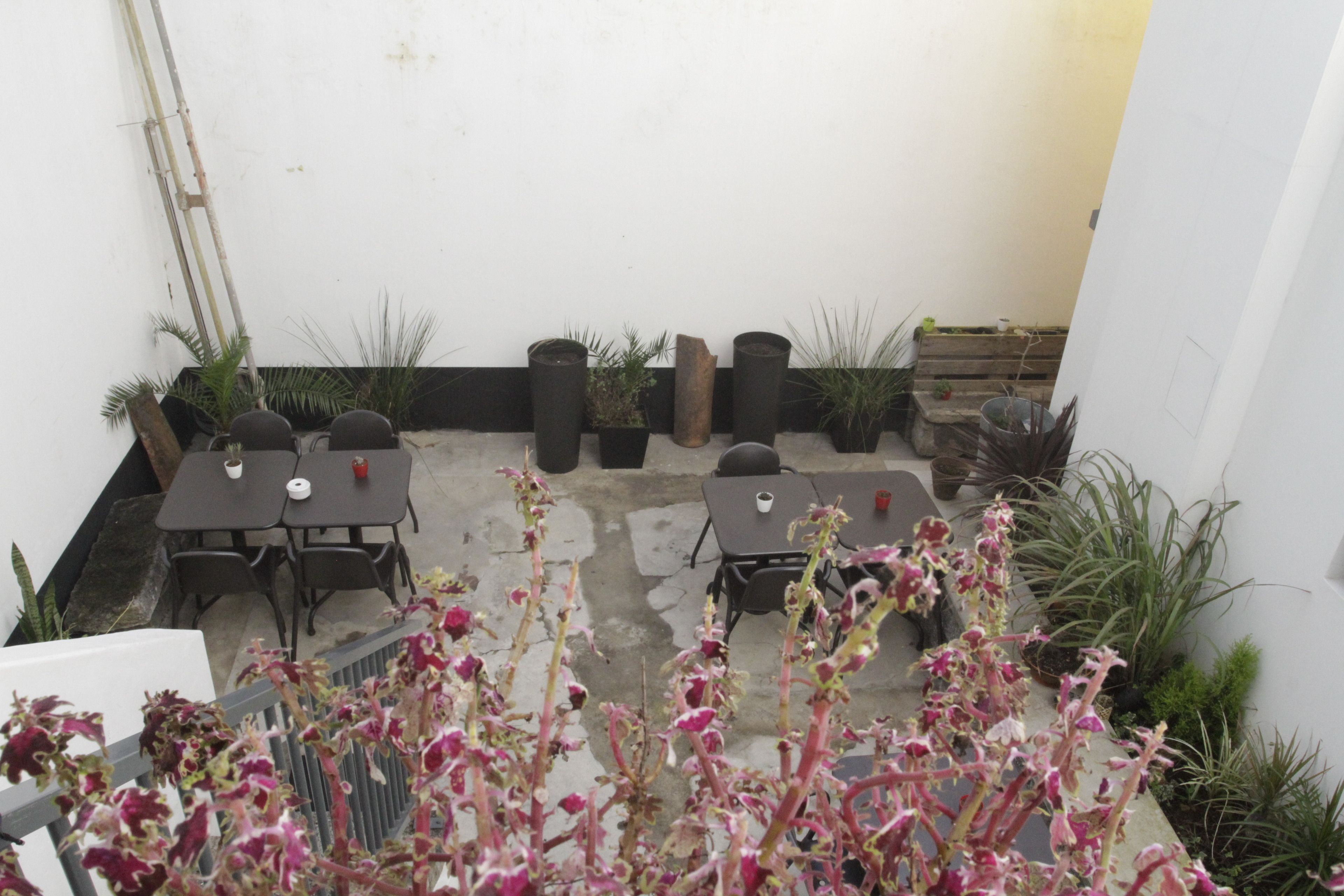 Foto - Procyon Boutique & Suites