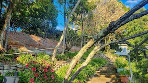 庭園