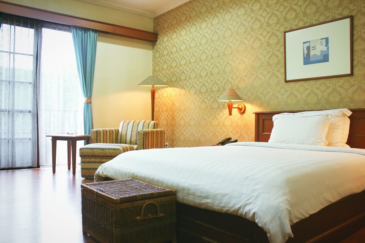 Deluxe Studio Suite, 1 King Bed, Smoking, City View | In-room safe, desk, free WiFi