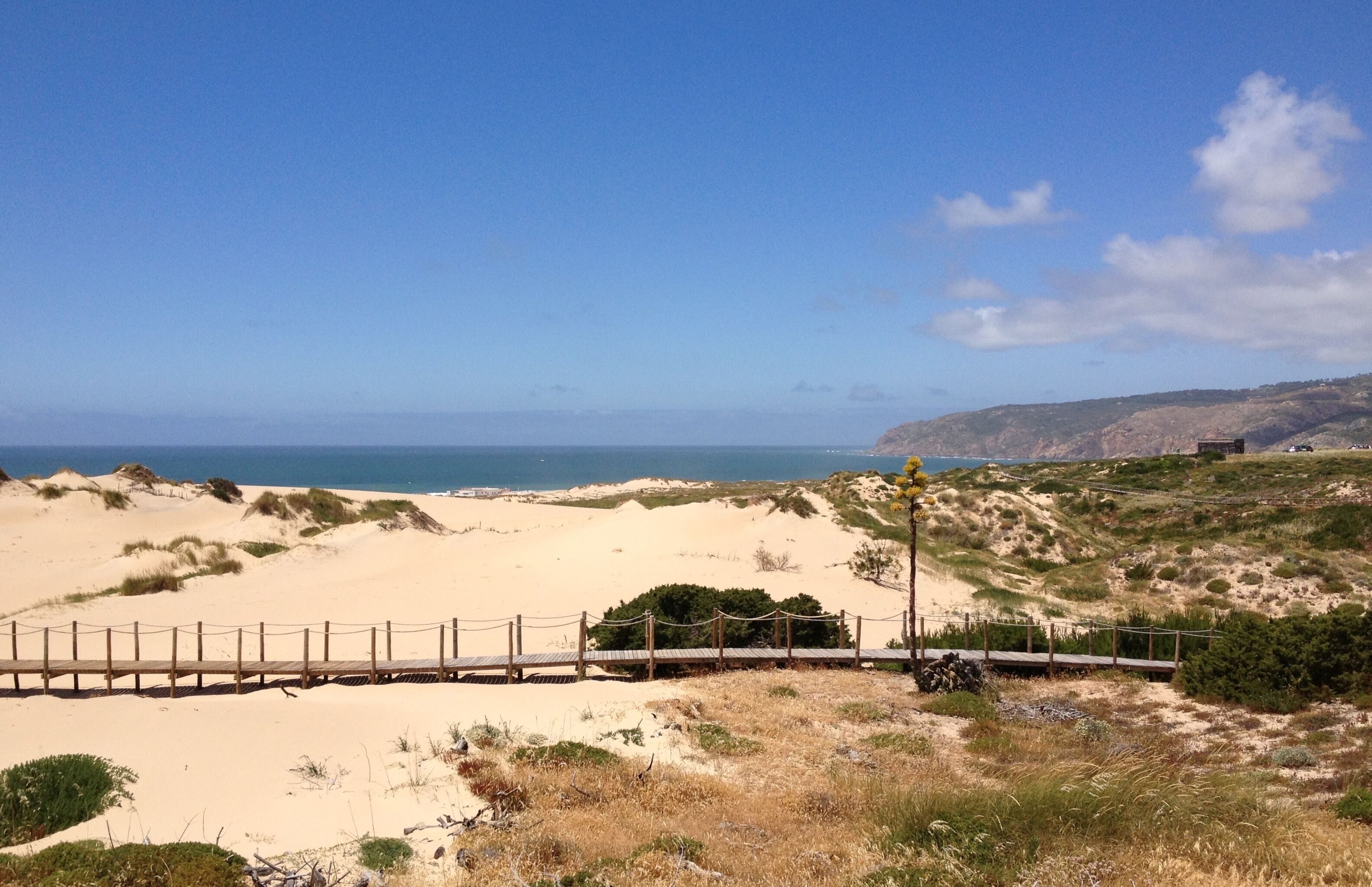 Un paysage côtier avec une plage de sable, une promenade en bois et une vue lointaine sur l’océan.