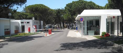 A street with a white building, a no parking sign, and trees.