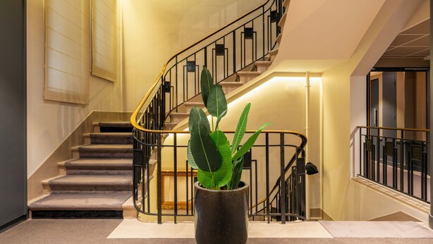 A staircase with a black railing, a potted plant in the foreground, and a wall with a framed picture.
