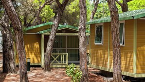 Files de cabanes grogues amb teulades verdes, envoltades d'arbres.