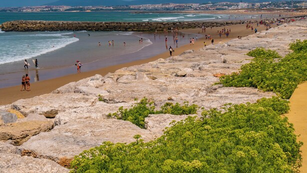 Una platja amb terreny rocos i vegetació.