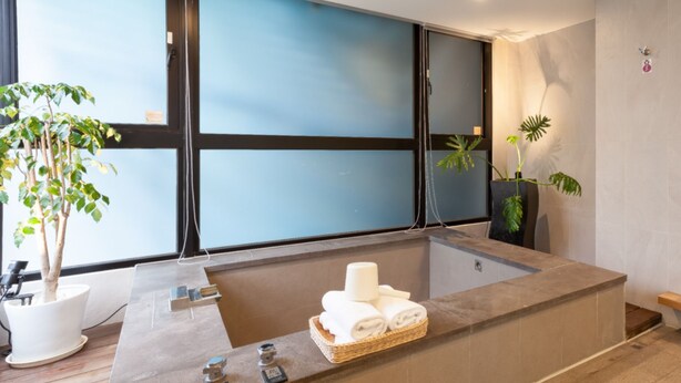 Une salle de bain moderne avec une grande baignoire, un lavabo et une fenêtre. On y trouve des serviettes et une plante sur le comptoir.