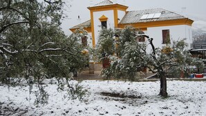 A building with a yellow facade and a tiled roof, surrounded by snow-covered trees. - Casa Vagón Vía Verde Sierra (Olvera)