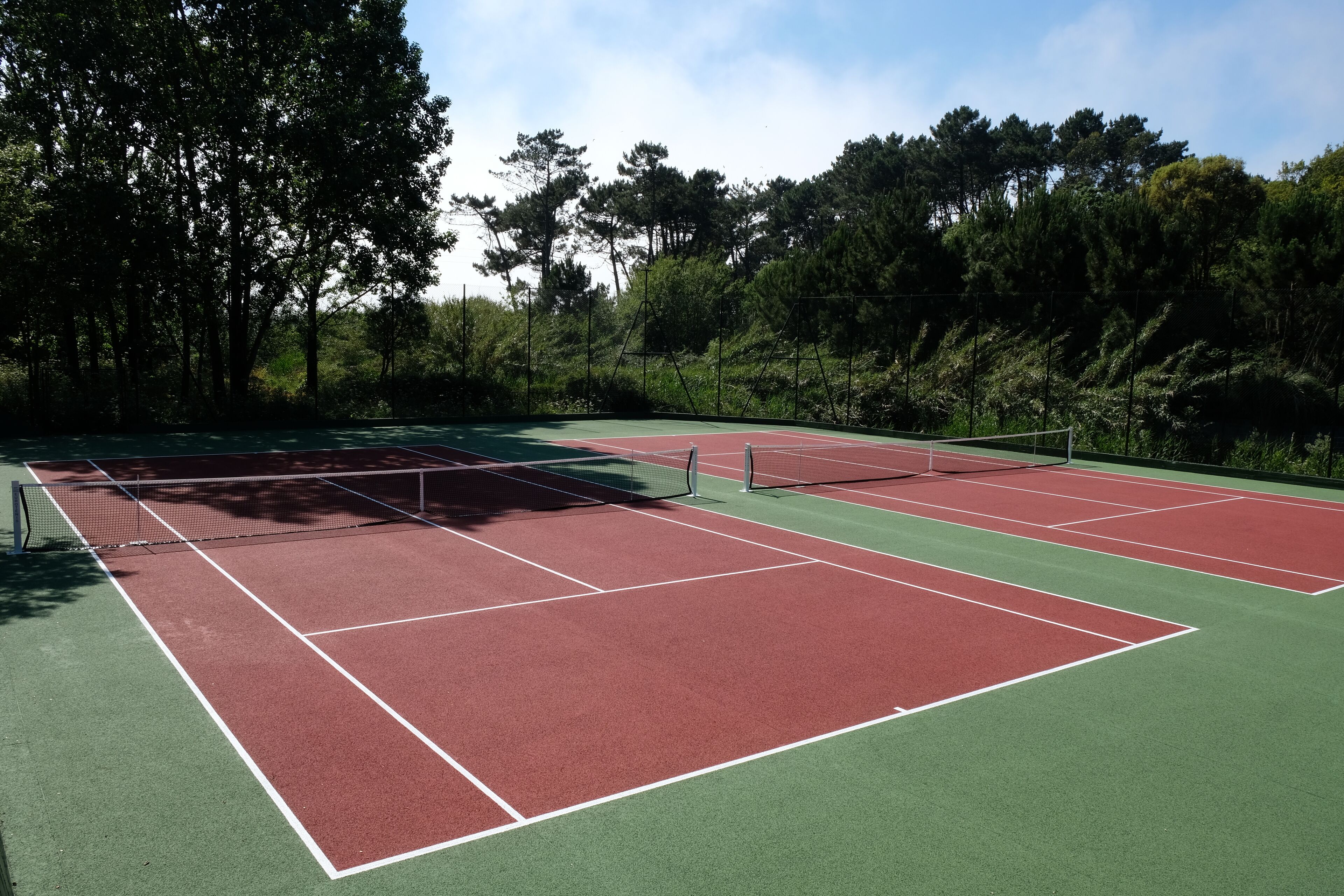 Un court de tennis avec un filet, entouré d’arbres.