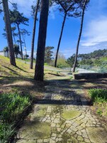 Jardim