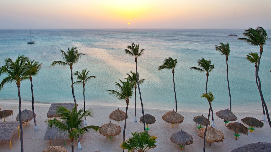 All Inclusive Holiday Inn Resort Aruba