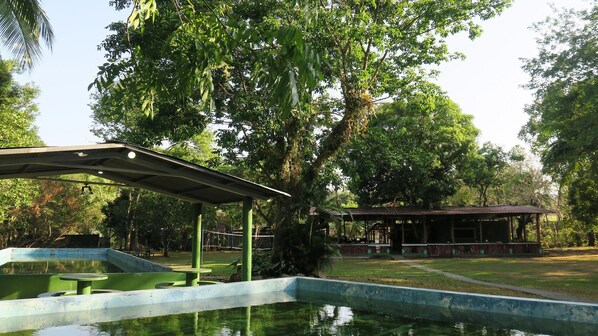 Outdoor pool - Waterfall Hostel (Los Agarrobos)