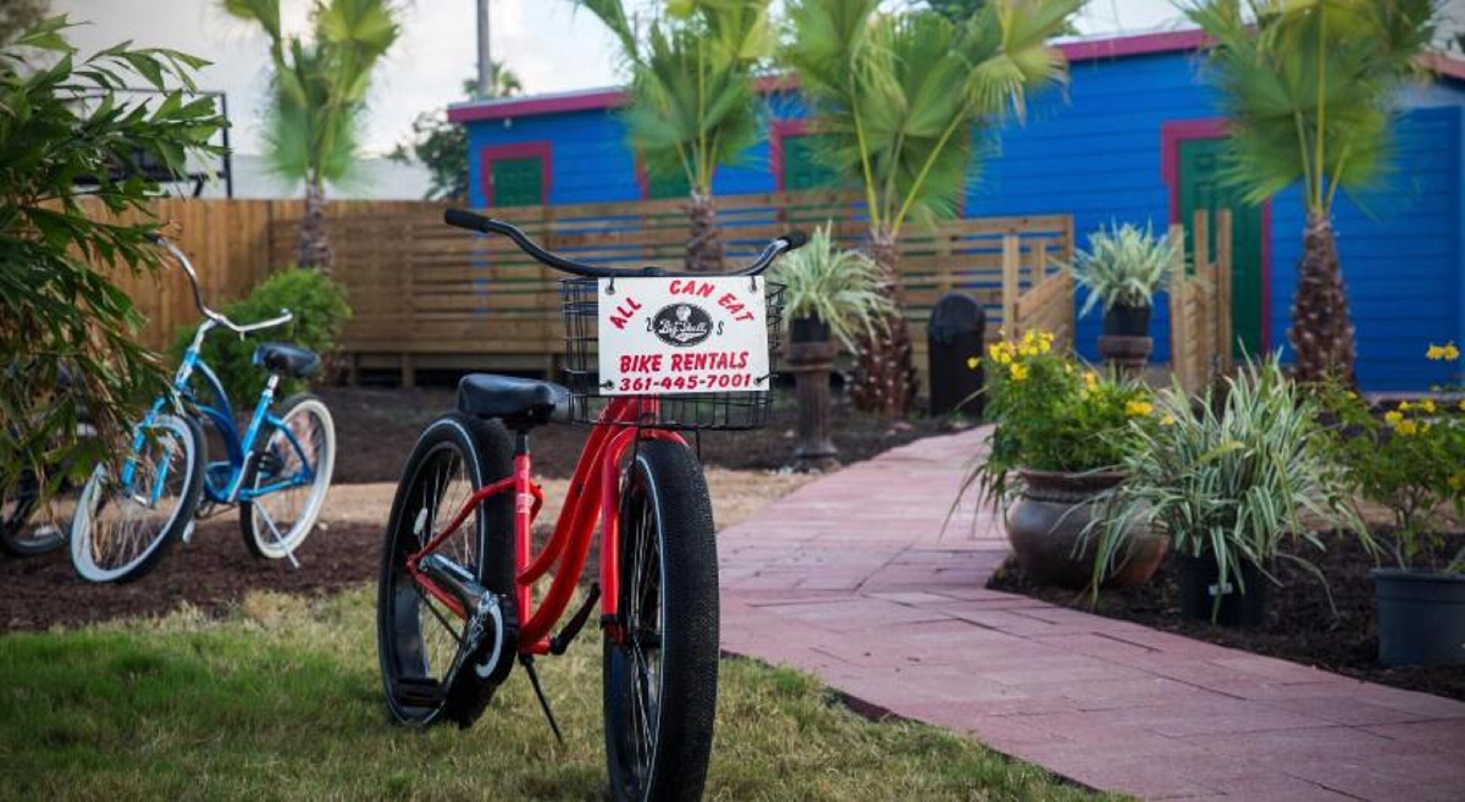 A red bicycle with a sign advertising bike rentals and a contact number.