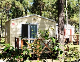 标准平房, 1 间卧室 (Vénus) | 露台