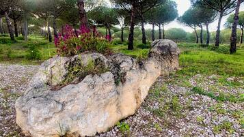 A natural landscape with a large rock formation surrounded by trees and flowering plants.