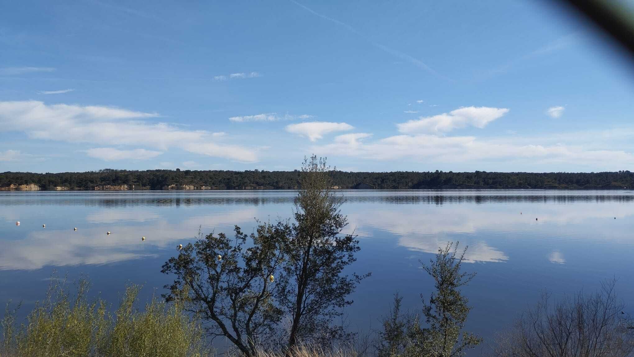En stilla sjö med klara speglingar, omgiven av träd och en avlägsen strandlinje.