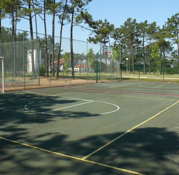 Una cancha de baloncesto al aire libre con una valla de malla, árboles y cielo despejado.