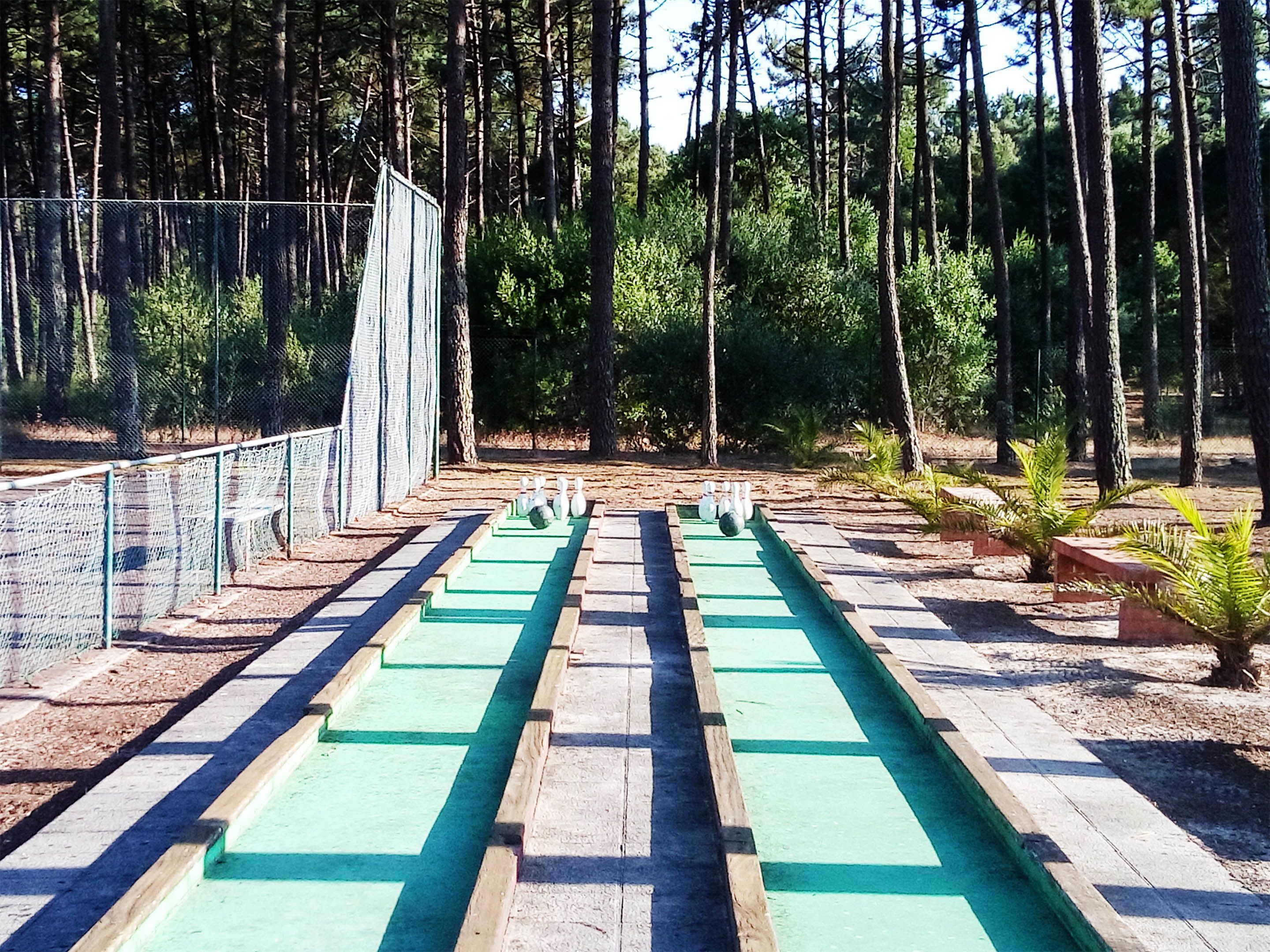 A bowling alley with green lanes and a netted area on the left.