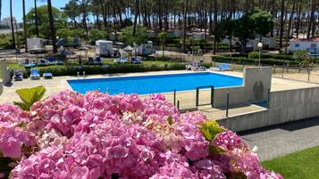Seasonal outdoor pool