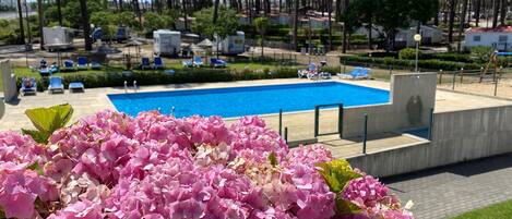 حمّام سباحة خارجي موسمي