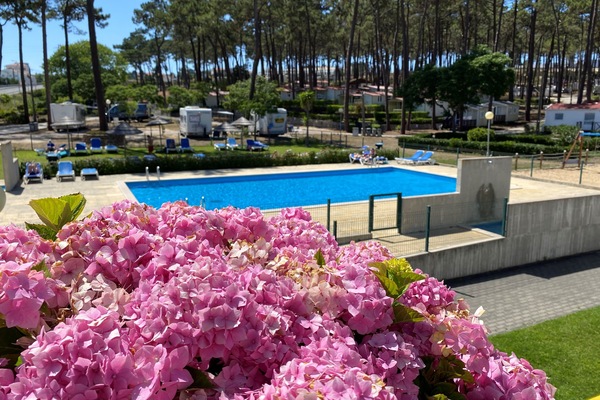 Een seizoensgebonden buitenzwembad