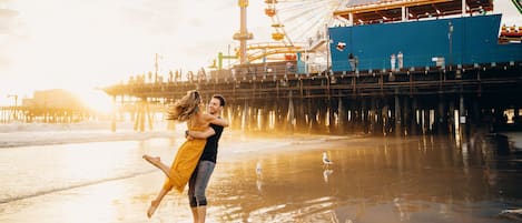 A pier with a Ferris wheel in the background.