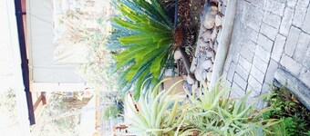 Havana Nights Graskop