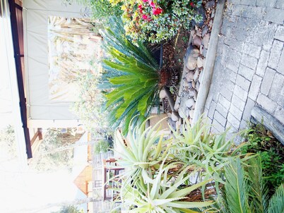 Havana Nights Graskop