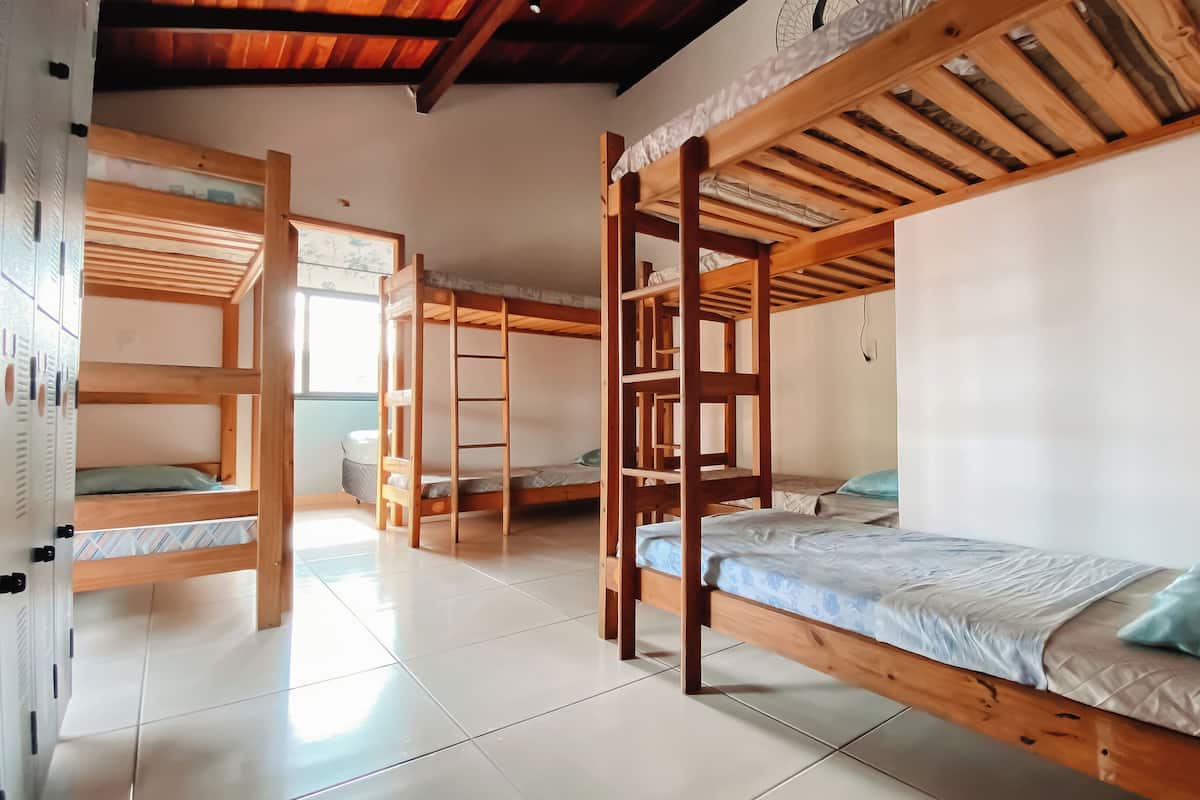 A dormitory-style room with bunk beds, a ladder, and a window.