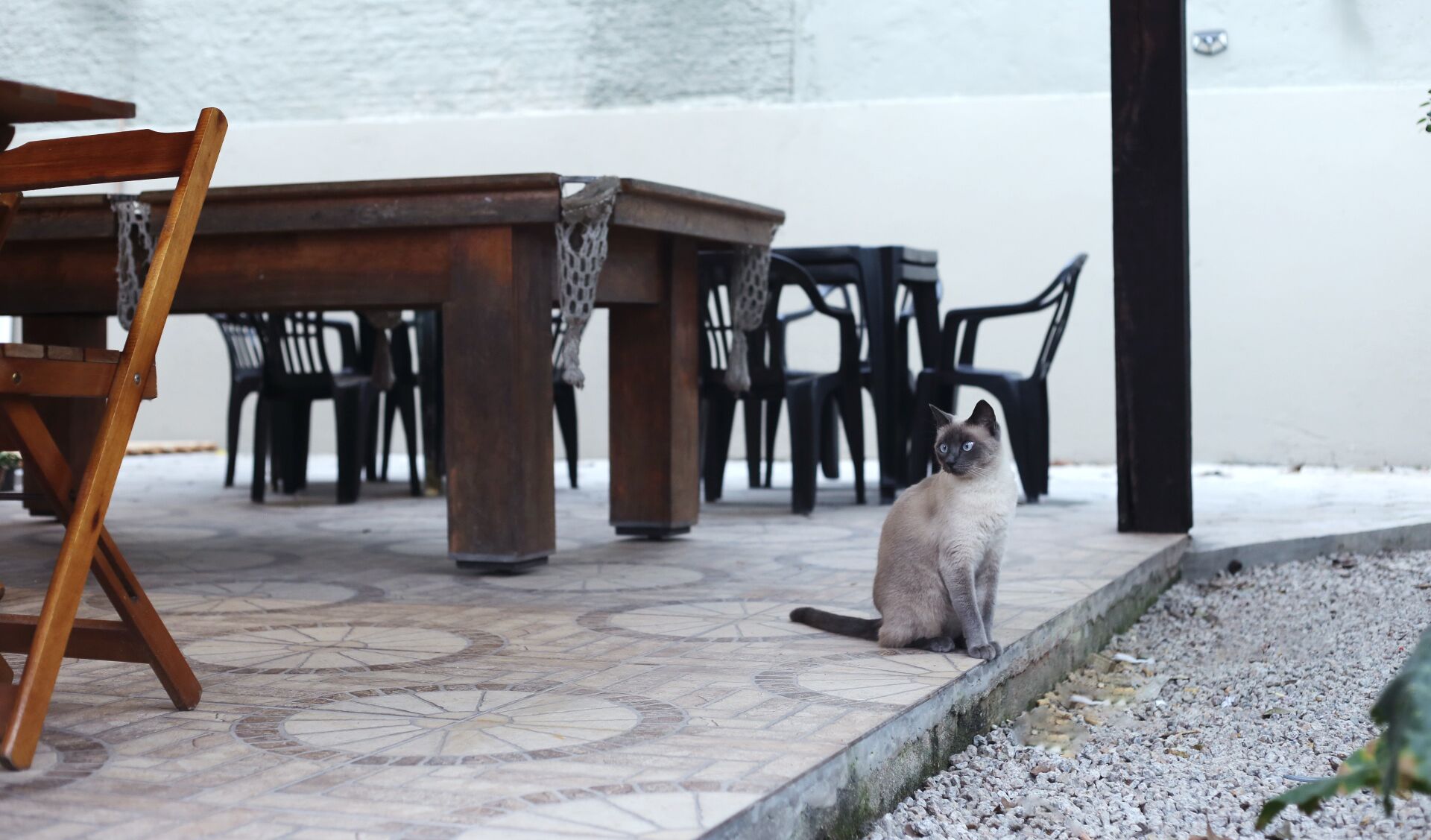 Photo - Sagui Hostel