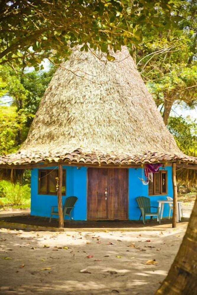 Oasis Surf Camp by null