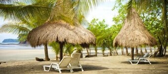 오아시스 서프 캠프