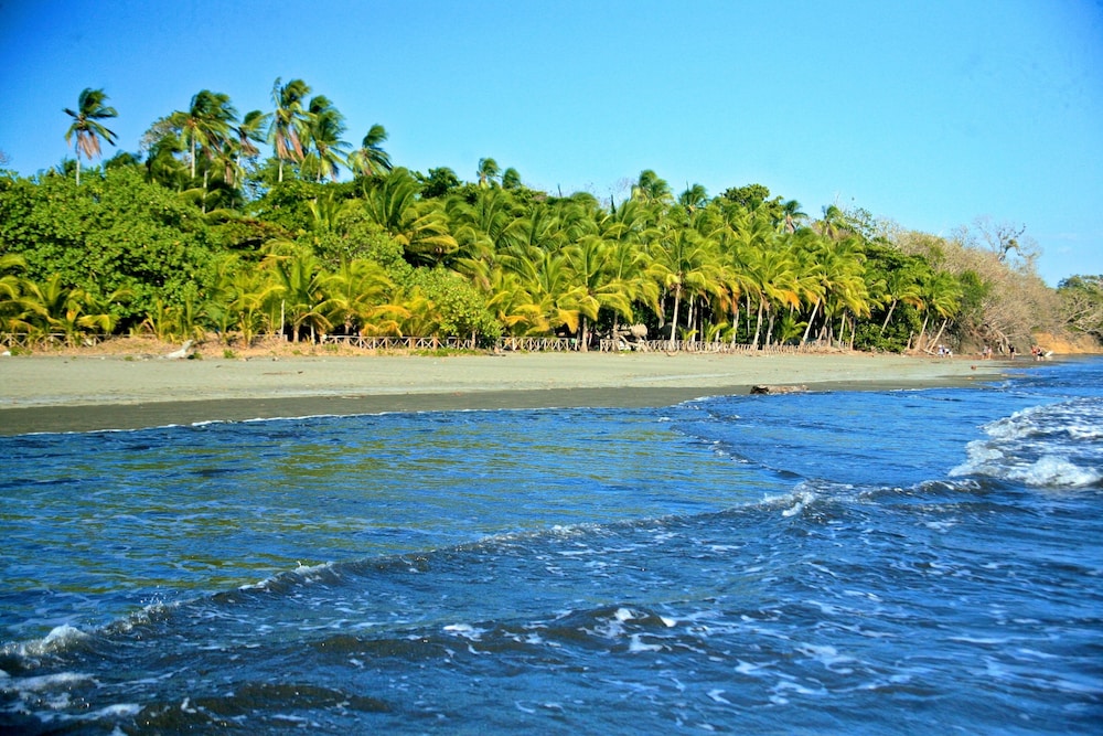 Oasis Surf Camp by null