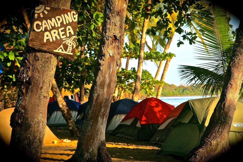 Oasis Surf Camp by null