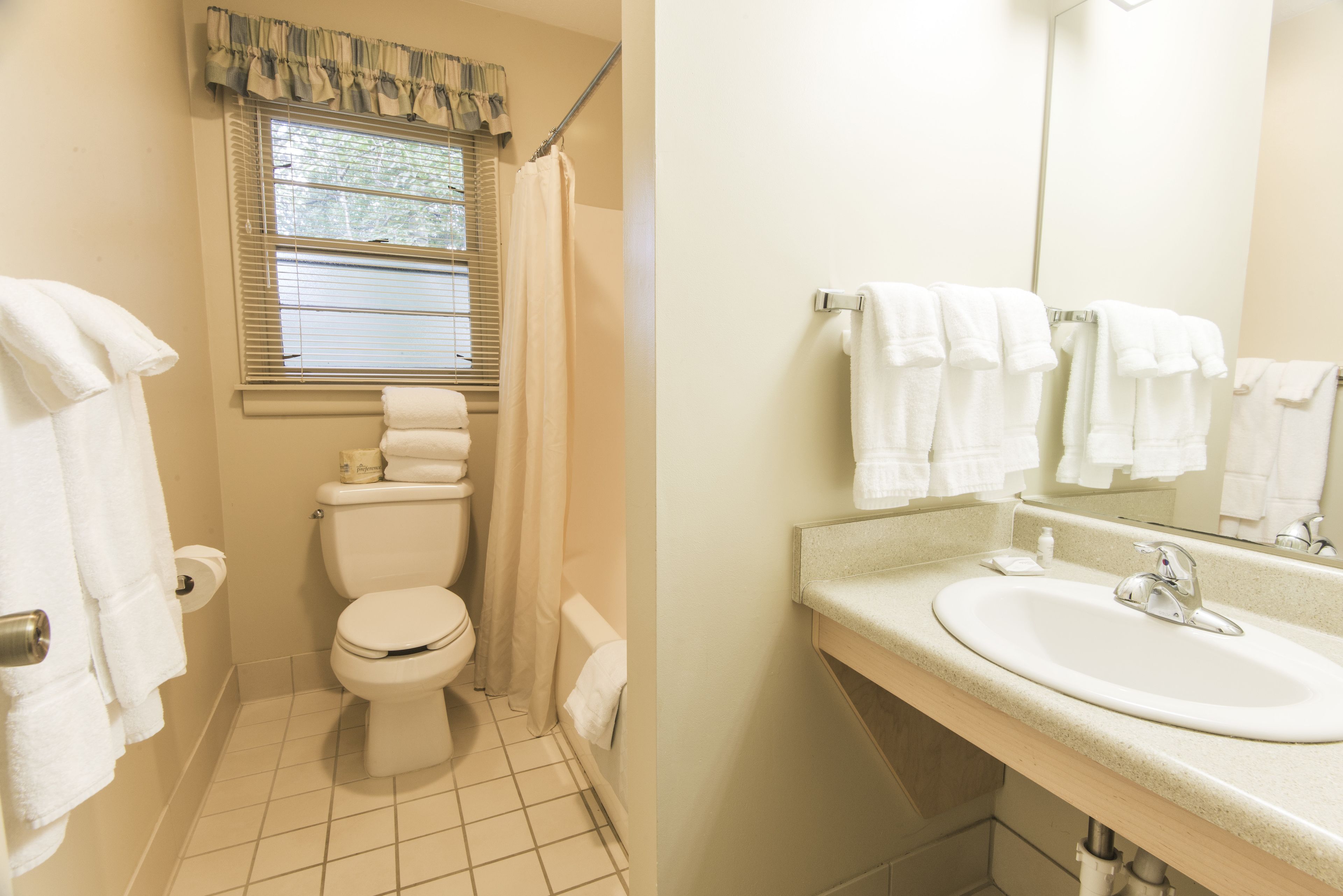 combined shower/bathtub, free toiletries, hair dryer, towels