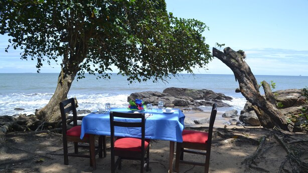 Mesa dispuesta para dos, con mantel azul y cojines rojos, ubicada en una playa de arena con vistas al océano y a las rocas.