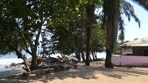 Una playa con un banco de madera, palmeras y un edificio de fachada rosa.