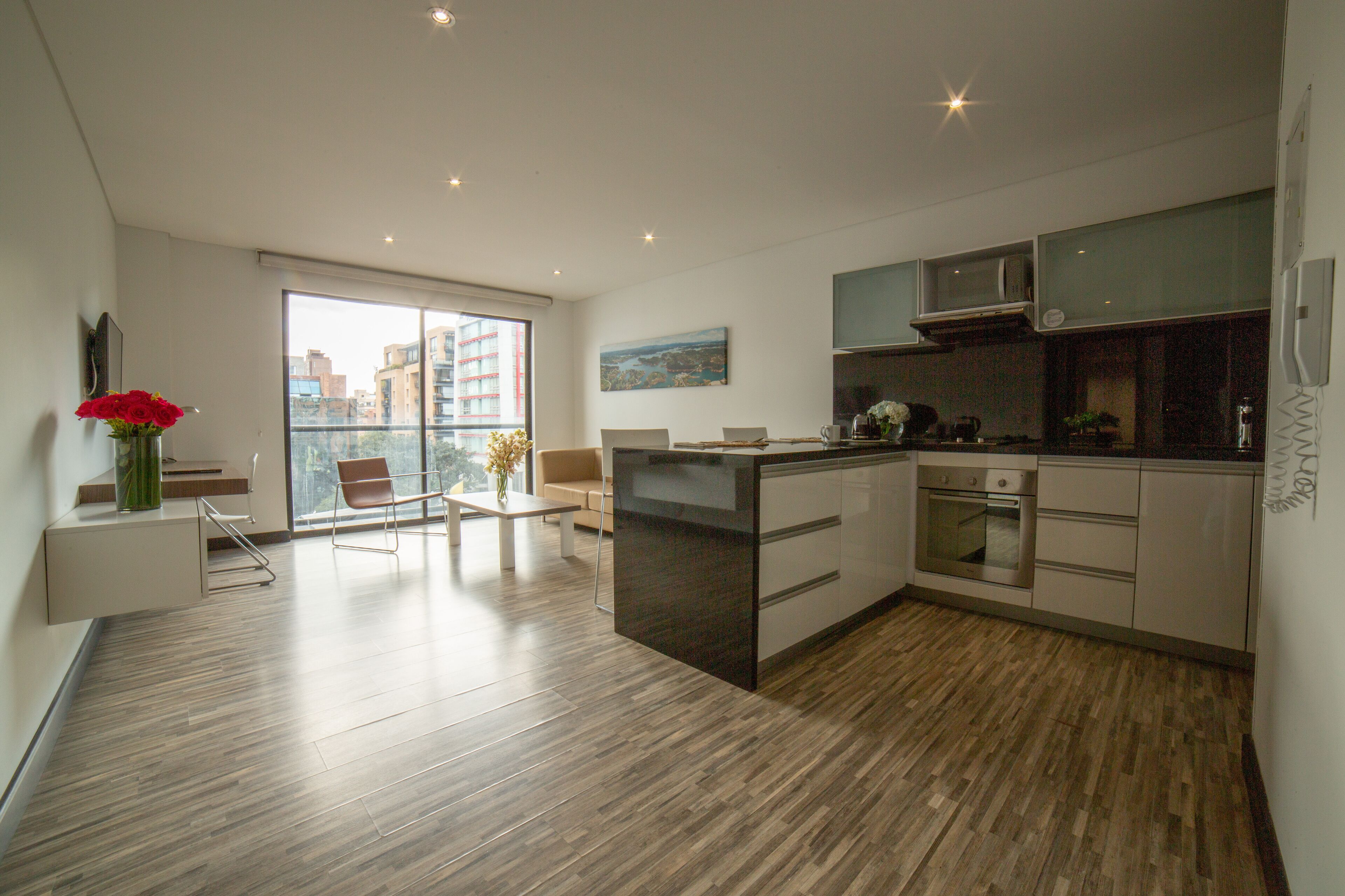 Business Suite | Private kitchen | Fridge, microwave, oven, stovetop