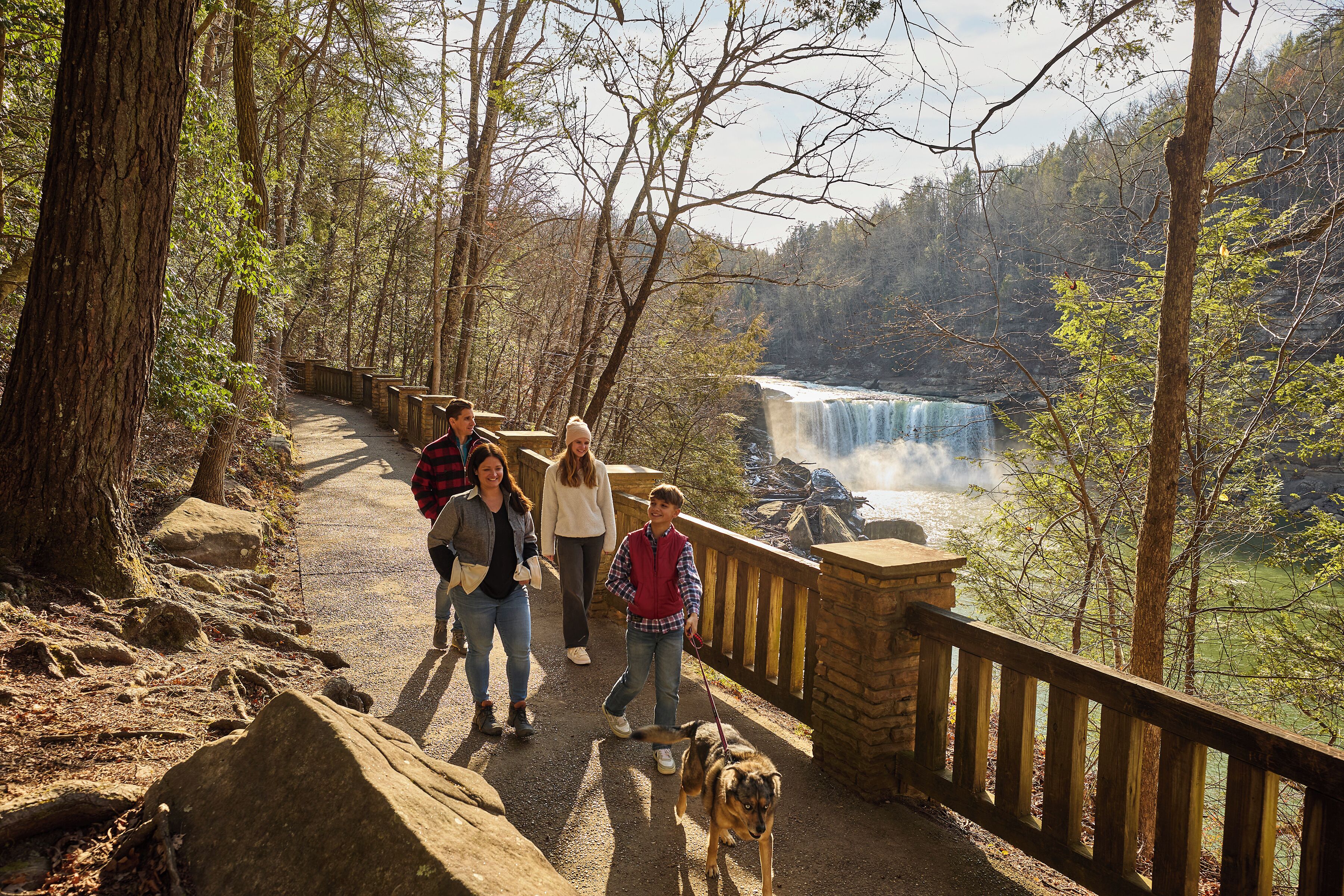 A paved walkway with a wooden railing, surrounded by trees and leading to a waterfall.