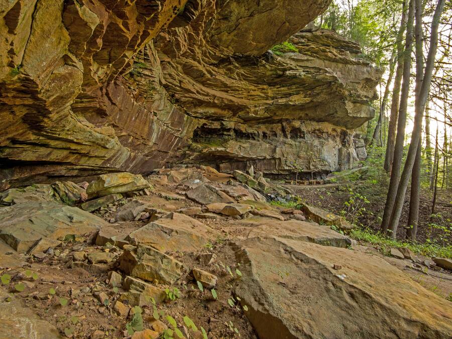A rocky terrain with large boulders and a forested area.