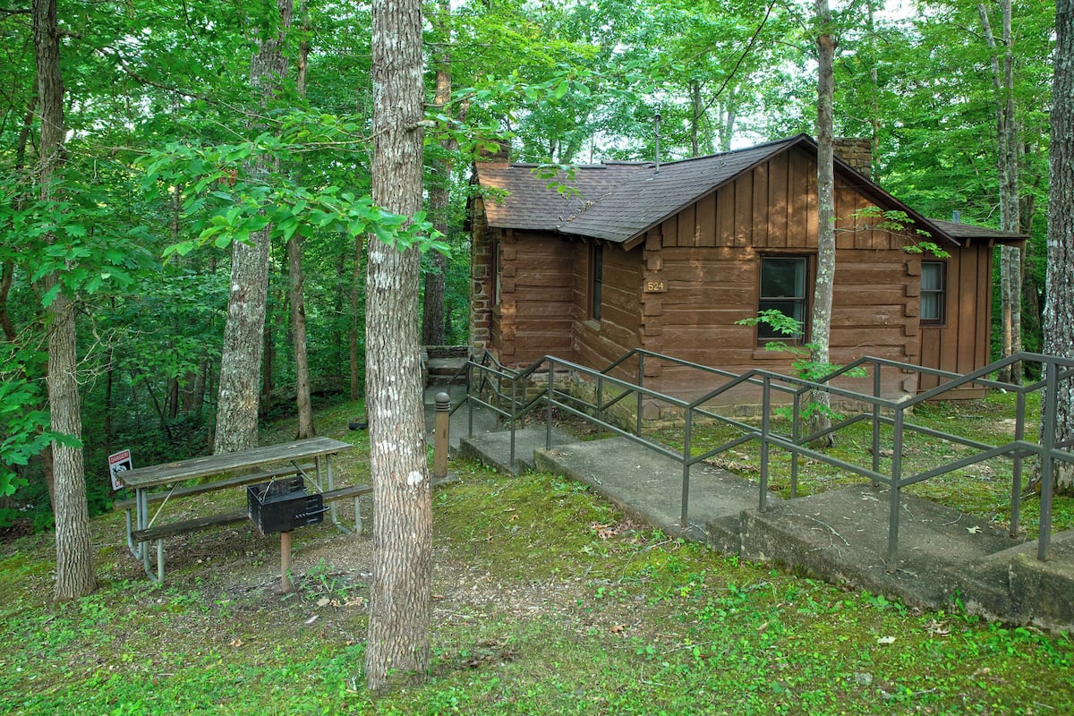 Cabin, 1 Bedroom (1 Double Bed) | Terrace/patio