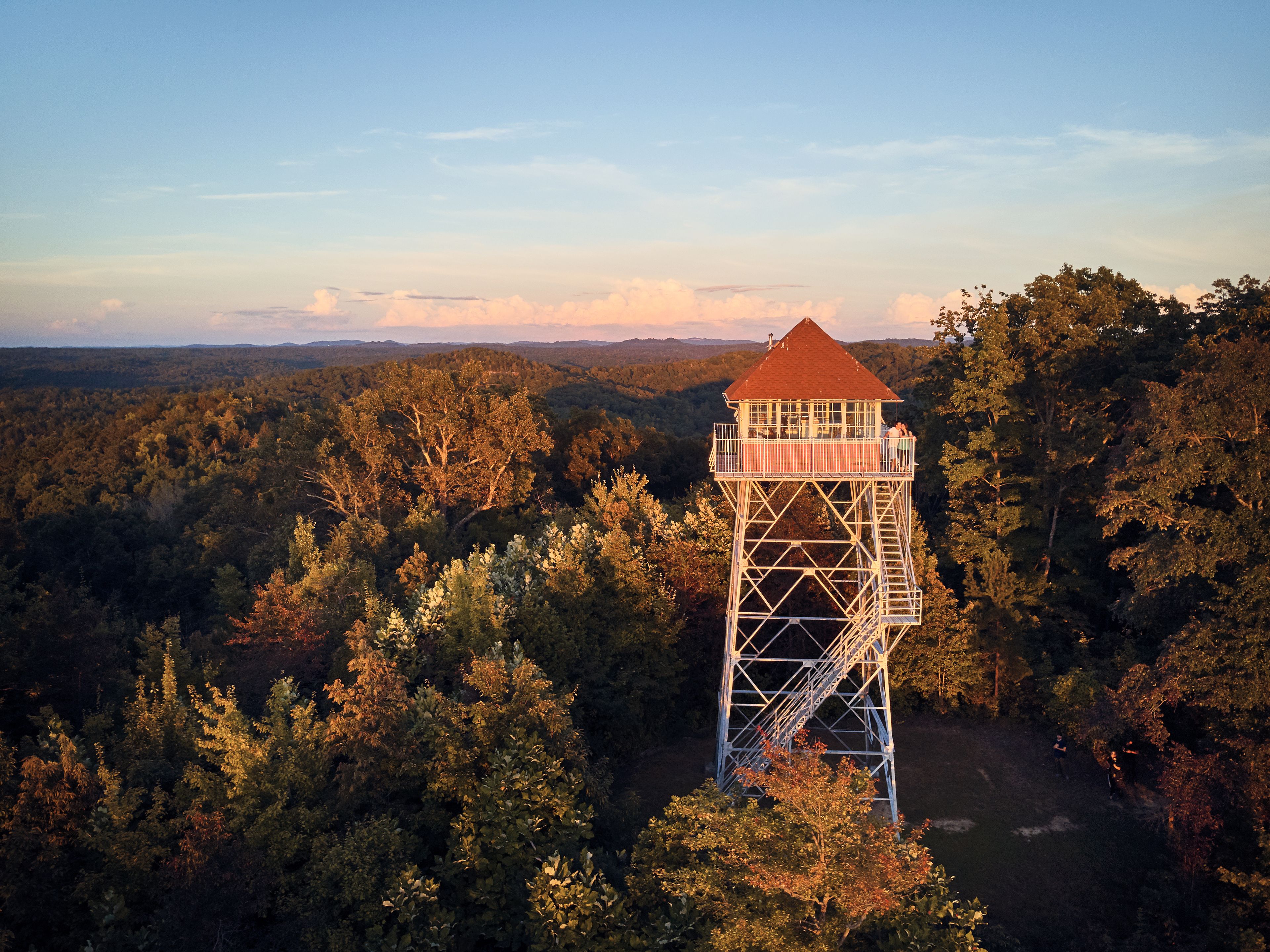 A tall observation tower with a red roof, surrounded by dense forest.